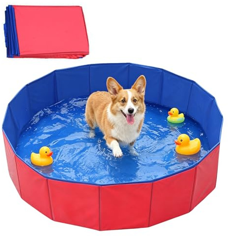 Nzkeuf Piscina plegable para perros, 60 x 20 cm, piscina para perros con válvula de drenaje, piscina infantil para perros, piscina portátil para perros pequeños, gatos