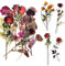 ExceLife Large Size Flower Plants Scrapbook Stickers, Self-Adhesive Vintage Plants Flowers Leaves PET Transparent Stickers DIY Crafts for Scrapbook Laptops Card Making Junk Bullet Journal Planner, Red