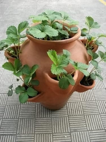 Tinaja Jardinera de Barro con 9 Huecos XL 55x55