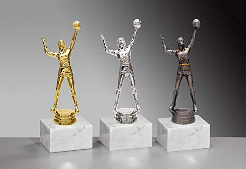 Henecka 🏀 Volleyball-Herren-Pokal, Volleyball-Trophäe, Volleyballspieler mit Ball auf Marmorsockel, mit Wunschgravur, wählbar in 3 Farben (Gold)