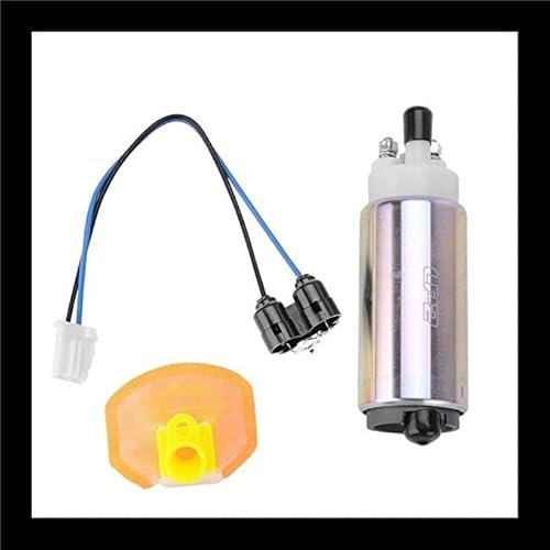 TERAM LOISIRS Pompe à Essence + Filtre pour Suzuki GSX/DL/GSXR/VZR/SV/VZ/TL et Honda CBR 1000 600 RR Neuf France