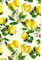 Saul Sadoch Geschenkpapier Satin Rolle H 70 cm L 25 m Zitronen