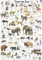 Close Up Tiere im Zoo Poster deutsch DIN A1 (59,4cm x 84,1cm) + Ãœ-Poster