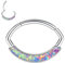 AROWRO 16G aufklappbarer ovaler Segmentring 10 mm Septum Schmuck Septum Clicker Septum Ringe Nasenringe Daith Ohrringe Chirurgenstahl Tragus Conch Rook Ohrringe Silber Knorpel Ohrringe Lila Opal