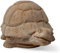 Toocook Animali in terracotta artigianale - Arredo giardino - Decorazione casa - Resistente alle intemperie (Tartaruga)