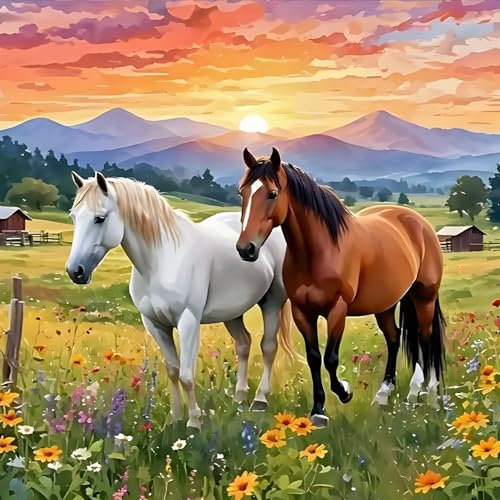 GDYEEH Pferd Diamond Painting Erwachsene, 5D Sonnenuntergang Diamant Kunst Bilder Anfänger, DIY Runder Vollbohrer Grasland Diamanten Malerei Stickerei Kreuzstich Geschenke Home Wand Dekor 30x30 cm