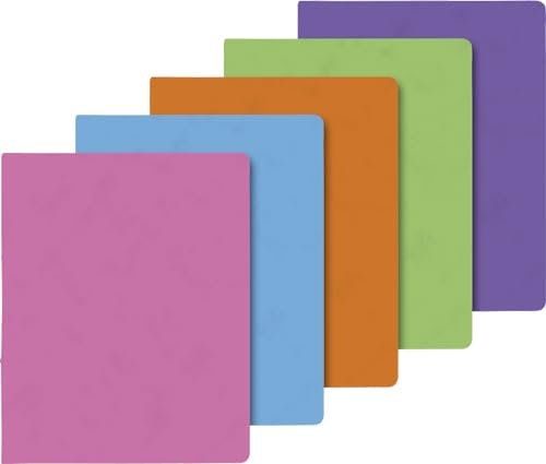 BRUNNEN Ringbuch A4 FACT!plus 2R 30mm Trend