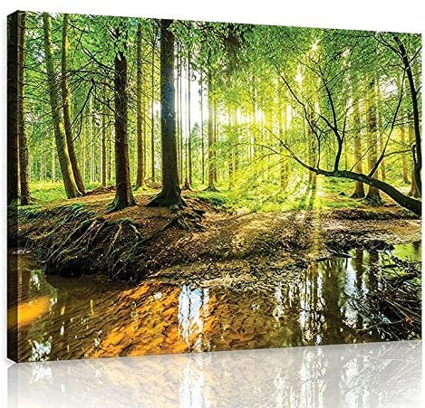 WallArena - Leinwand Bilder - Wald Natur Landschaft Sonne - 120x80 cm Leinwandbilder - Bild auf leinwand - Wandbild XXL groß Wandbilder für Wohnzimmer Schlafzimmer Wohnzimmerbilder Modern