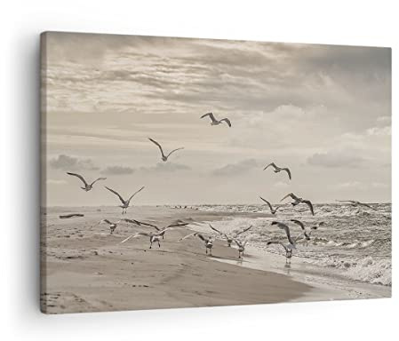 ARTTOR Bilder auf Leinwand 70x50cm Wandbild Landschaften Maritim - 4723 | Möwen Küste Boho Klein Wanddekoration Wohnzimmer Schlafzimmer Küche Wanddeko Wand Kunstdruck Wandkunst Wall Decor ARTTOR