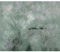 murando - Vlies Fototapete Landschaft 200x140cm - Foto Tapete Schlafzimmer Wohnzimmer Vliestapete XXL Wandtapete Motivtapeten Bildtapete 3d Effekt Wand Dekoration - Natur Wald wie gemalt b-A-10253-a-c