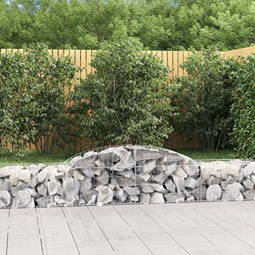 Iiaky Paniers à gabions arqués 10 pcs 300x50x40/60 cm Fer galvanisé,Kit Gabion,Gabion Walls