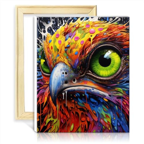 TANGFEIY Paint by Numbers Kits Bird Eagle Beginner DIY Paint by Number Set with 3 Brushes & Acrylic Paints Perfect Home Wall Decor No Frame(30x40cm)