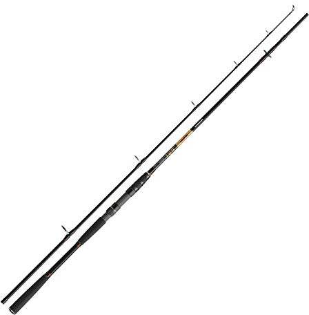 Cormoran Seacore BAT Jig & Pilk 2,40m 40-100g Ostsee & Nordsee Rute
