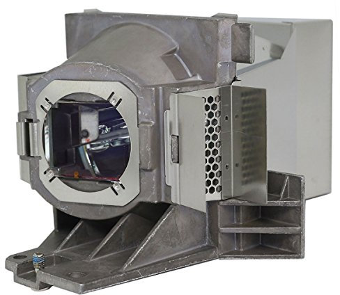 Original Inside lamp for BENQ W1110 Projector - Replaces 5J.JEE05.001