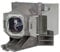 Original Inside lamp for BENQ W1110 Projector - Replaces 5J.JEE05.001