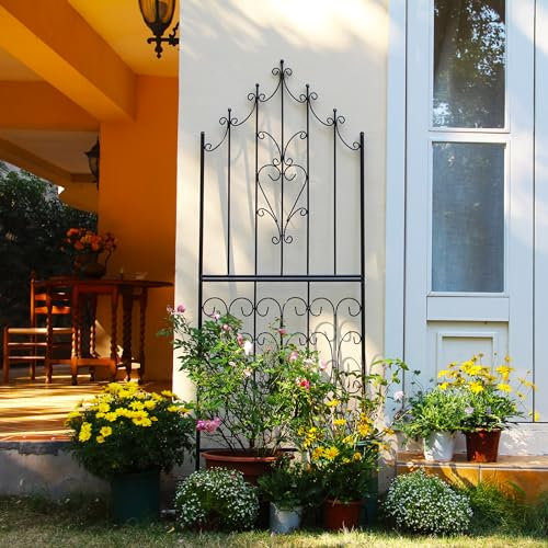 SCENDOR 1 Pack Garden Trellis for Climbing Plants 70.8 H x 25.6 W Metal Premium Quality Material Rust-Resistant Climbing Frame Stylish Garden Addition Outdoor Roses Vine Ivy Clematis Trellises Black