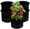 Biluer Vasi In Tessuto, 5 PCS 11L Grow Bag Per Orto Rialzato Da Esterno, Sacchi Per Piante Sul Balcone