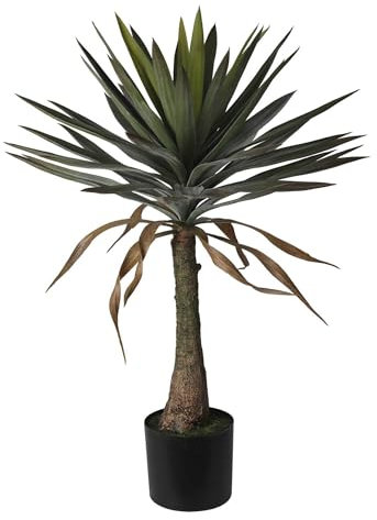 Well Home Plante de Yucca en Pot H.90 cm