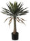 Well Home Plante de Yucca en Pot H.90 cm
