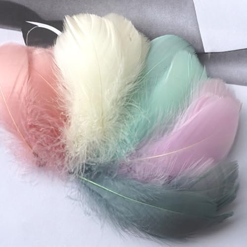 200 Stück Bastel Federn, Bunte Deko Federn, Federn Basteln, Natürliche Federn, Federn zum Basteln für DIY Ohrring, Hochzeit, Traumfänger, Kopfschmucksfedern, Ostern, Weihnachten (Morandi)