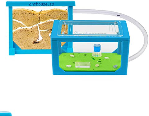 AntHouse - Ameisenfarm aus Sand | 3D Mini Set (Sandwich + Futterbox) | Himmelblau Ant Farm | Inklusive Ameisenkolonie
