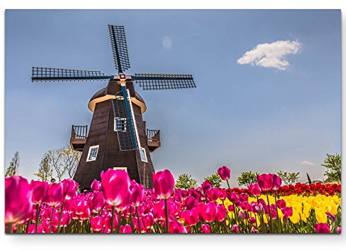 Leinwandbilder | Bilder Leinwand 120x80cm Tulpenfeld mit Windmühle