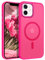 GUAGUA für iPhone 12 Hülle, iPhone 12 Pro Hülle Matt Magnetisch Handyhülle [Kompatibel mit MagSafe] Stoßfest Durchscheinende Rückseite Dünn Schutzhülle Case Cove für iPhone 12/12 Pro (6,1'') Rose