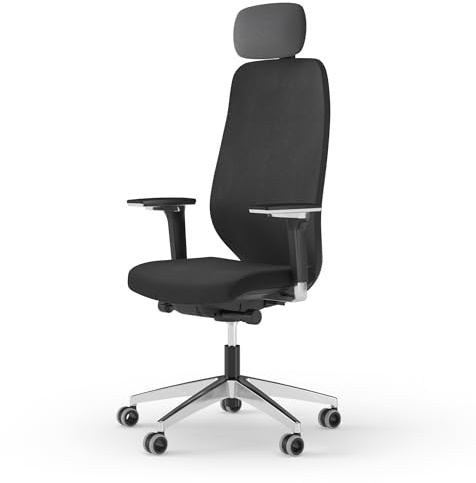 Ergotopia MasterBack Executive ergonomischer Bürostuhl [TESTSIEGER] – Schreibtischstuhl ergonomisch mit 3D-Neigungsmechanik & 5D-Armlehnen – Perfekt als Drehstuhl für Büro & Home Office