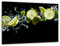 TMK, Schneidebrett glas 40x30 mit motiv Limette Schwarz Schneideplatte, Herdabdeckplatte deko glas