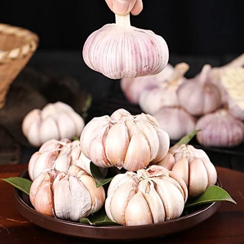 Pflanzknoblauch Winterhart GemüSepflanzen KräUtergarten WintergemüSe Knoblauch Pflanzen Balkonpflanzen GemüSe Knoblauch Frisch Nachhaltige Geschenke Gartenpflanzen 4 Elefanten Knoblauch Zwiebeln