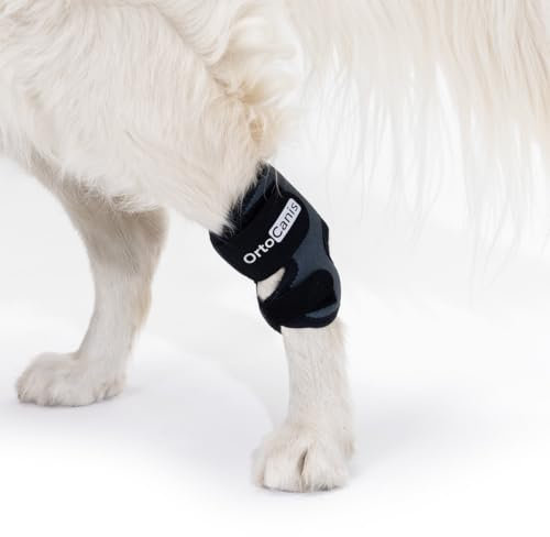 Ortocanis - Sprunggelenkbandage für Hunde - Unterstützung des Tarsus bei Arthrose, Bänderverletzungen und Sehnenentzündungen - Aus ARD-Neopren - Größe: XS 9-12,5 cm - 7.5-10.5 cm
