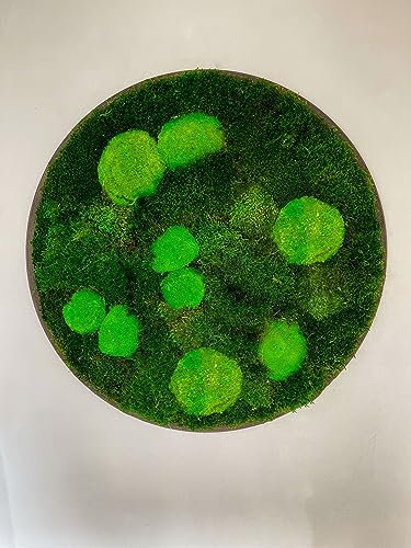 Großes Moosbild Rund mit Waldmoos und Hügelmoos Gedankenwunder Manufaktur