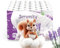 Serenity Soft Lavender Scented Toilet Tissue 3‑Ply – Luxuriously Soft, Gentle & Strong Toilet Rolls, Hypoallergenic, Mega Value Pack of 72, Dermatologically Tested & Produced in The UK