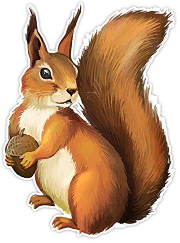 MACMRD Auto Aufkleber Persönlichkeit PVC Aufkleber Eichhörnchen Autoaufkleber Auf Motorrad Laptop Deko Zubehör