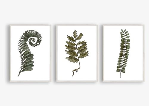 Kunstdruck 3-teilig Din A4 ohne Rahmen - Aquarell Farn Farne Blatt Blätter Natur Grün Landhaus Romantik - Druck Poster Bild