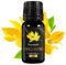 Aromaholik Ylang-Ylang-Öl BIO 100% naturrein – Ätherische Öle für Diffuser & Aroma Diffuser – Zertifiziertes ätherisches Öl aus Indien – Ylang Ylang Essential Oils 10ml für Sauna & Massage