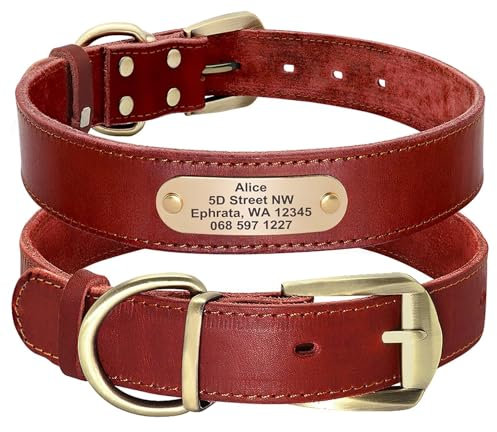Didog Hundehalsband aus echtem Leder mit graviertem Namensschild, personalisierbar, weiches Leder, Hundehalsband mit individuellem ID-Etikett, braun/grün/rot für mittelgroße Hunde