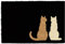 CKB LTD Cat Novelty Printed Two Sitting Cats Doormats Front Back Made with a non-slip Coir Indoor Outdoor (Black/Pale White)