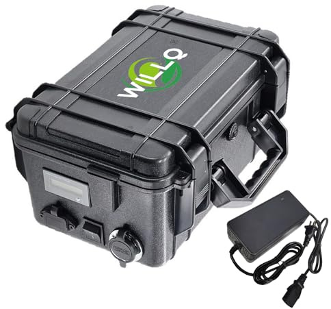 WILLQ 48V 30Ah 20Ah 15Ah Lithium-Ionen-Akku als Ersatz für Rundfunkgeräte und Lautsprecher mit Ladeanzeige und Ladegerät,48v15ah