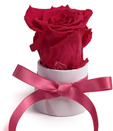 ROSEMARIE SCHULZ Heidelberg Kleine Rosenbox weiß rund Infinity Rose - Blumenbox 1 konservierte Rose (Weiß-Pink)
