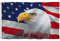 Anley Fliegenbrise 3x5 Fuß US Bald Eagle Dekorative Flagge - Lebendige Farbe und UV-beständig - Leinwand Kopfzeile und doppelt genäht - Patriotische Bald Eagle Flaggen Polyester mit Messingösen