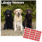 Labrador Ret (gemischt) Kalender 2021 | Quadratischer Hunderassen-Wandkalender | 16 Monate | mit Organisationsaufklebern