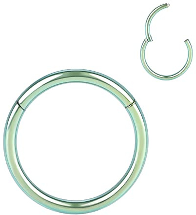 AROWRO Anelli per naso con cerniera in acciaio chirurgico 316L, 20 g, 18 g, 16 g, 14 g, 12 g, anelli per piercing senza cuciture, per naso, setto cartilagine, elica, trago, conchiglia, rook, daith,