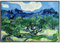 JOPRICO Vincent Van Gogh Druck - Olivenbäume mit den Alpillen im Hintergrund 1889 Größe 40x60 cm |16x24 inch