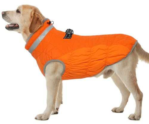 Hjumarayan Hundemantel für Kleine Mittelgroße Grosse Hunde, Hundemantel Winter Warme Wintermantel Hund Hundejacke Wasserdicht Hunde Mantel Gefüttert, Outdoor Hundemantel Labrador (Orange XXL)