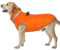 Hjumarayan Hundemantel für Kleine Mittelgroße Grosse Hunde, Hundemantel Winter Warme Wintermantel Hund Hundejacke Wasserdicht Hunde Mantel Gefüttert, Outdoor Hundemantel Labrador (Orange XXL)