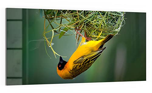 DEQORI WTD - Cuadro de cristal (100 x 50 cm), diseño de máscara