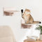Kletterwand Katzen, Katzenwandmöbel Set Aus Holz, Katzen-Wandmöbel Katzenbrett Sitzstangen für Wand Kletterstufe Katze Wand Kletterregal Spielplatz Innen Wandmontage (2 Plattform Katzen Wandmöbel)