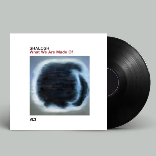 What We Are Made of (180g Black Vinyl)