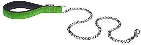 Ferplast Daytona GM Guinzaglio per Cani Extraresistente - Morbida Impugnatura Imbottita - Catena in Metallo - Design Italiano - 100 x 2,5 cm, Verde